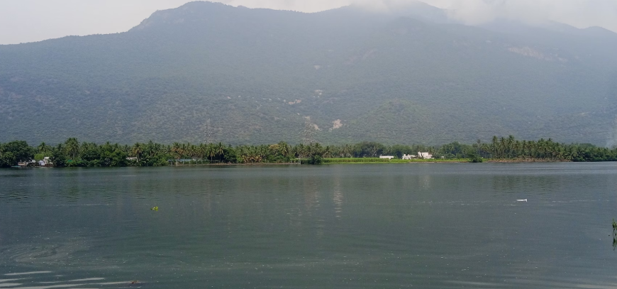 Poolampatty Backwaters